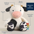 Itzy Ritzy - Croissant Sweetie Snuggles™ Plush