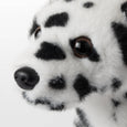 The Petting Zoo - New Dalmatian Dog Small 8" (20cm)