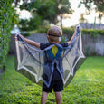 DREAMY DRESS-UPS® - Bat Wings + Mask