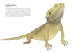 Chronicle Books - Colorful World of Reptiles