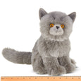 Gordie the Persian Cat- Bearington Collection