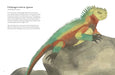 Chronicle Books - Colorful World of Reptiles