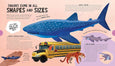 Chronicle Books - Sensational Sharks