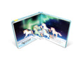 Fox Chapel Publishing - Unicorns - A Pop-Up Book Adventure for Children!