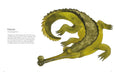Chronicle Books - Colorful World of Reptiles