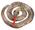 Toysmith - Reptile Sand Animals, Assorted Styles/Colors (squishy toy)