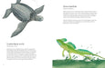 Chronicle Books - Colorful World of Reptiles