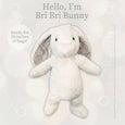 Bunny Cream - World Softest Plush - Beverly Hills Teddy Bear Company