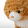 The Petting Zoo - Cat Orange Tabby Medium 10"