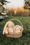Bunnies By the Bay - Roly Poly - Apricot Cream Bunny
