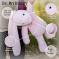 BriBri Bunny Rose - World Softest Plush - Beverly Hills Teddy Bear Company