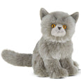 Gordie the Persian Cat- Bearington Collection