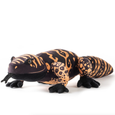 The Petting Zoo - 21" (54cm) Wild Onez Gila Monster