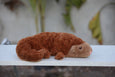Axol & Friends - Pangolin Plush - 4lbs Weighted
