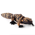 The Petting Zoo - 21" (54cm) Wild Onez Gila Monster