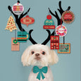 Rock Scissor Paper - Mushroom Nevada City Wood Shape Ornament - Red