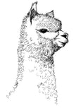 Supermaggie Faire - Alpaca Kid's Organic Cotton Tee