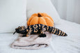 The Petting Zoo - 21" (54cm) Wild Onez Gila Monster