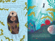 Chronicle Books - Over and Under the Waves