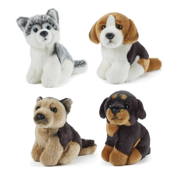 Keycraft - Living Nature Miniature Dogs Assorted Plush