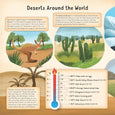 Fox Chapel Publishing - Discovering the Amazing World of the Desert