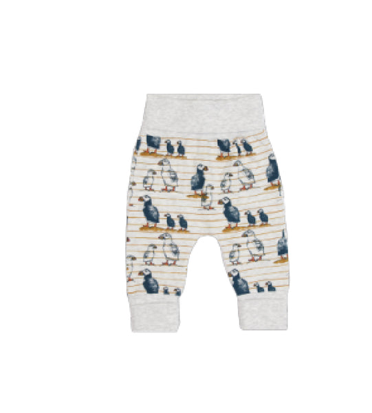 Coccoli - Cotton Pants - Puffin