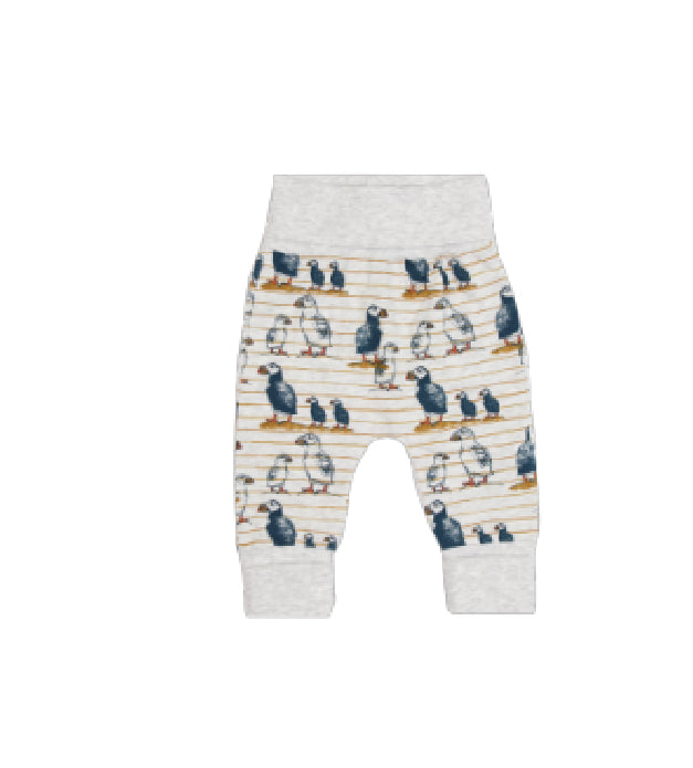 Coccoli - Cotton Pants - Puffin