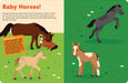 Sourcebooks - Pop Out Horses