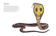 Chronicle Books - Colorful World of Reptiles