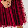 Bird & Bean® - Girls Velvet Heart Holiday Tulle Dress - Ruby
