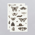 Tattly - NGA Insects Tattoo Sheet - NEW FW2023