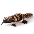 The Petting Zoo - 21" (54cm) Wild Onez Gila Monster