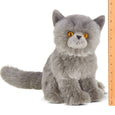 Gordie the Persian Cat- Bearington Collection
