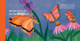 Sourcebooks - Night Night Ladybug