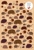Fox Chapel Publishing - Find Me! Adventures in the Forest-Hidden Picture Activi (HC)