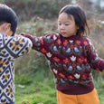 Little Green Radicals - Folk Birds Knitted Jumper