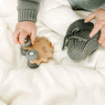 Calla & Friends - Rollin' Friends - Hedgehog