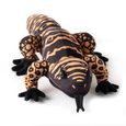 The Petting Zoo - 21" (54cm) Wild Onez Gila Monster