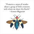 Chronicle Books - A Beetle Is Shy