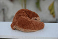 Axol & Friends - Pangolin Plush - 4lbs Weighted