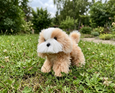 The Petting Zoo - New Cavapoo Dog Small 8" (20cm)