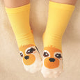 Meerkat Zoo Socks