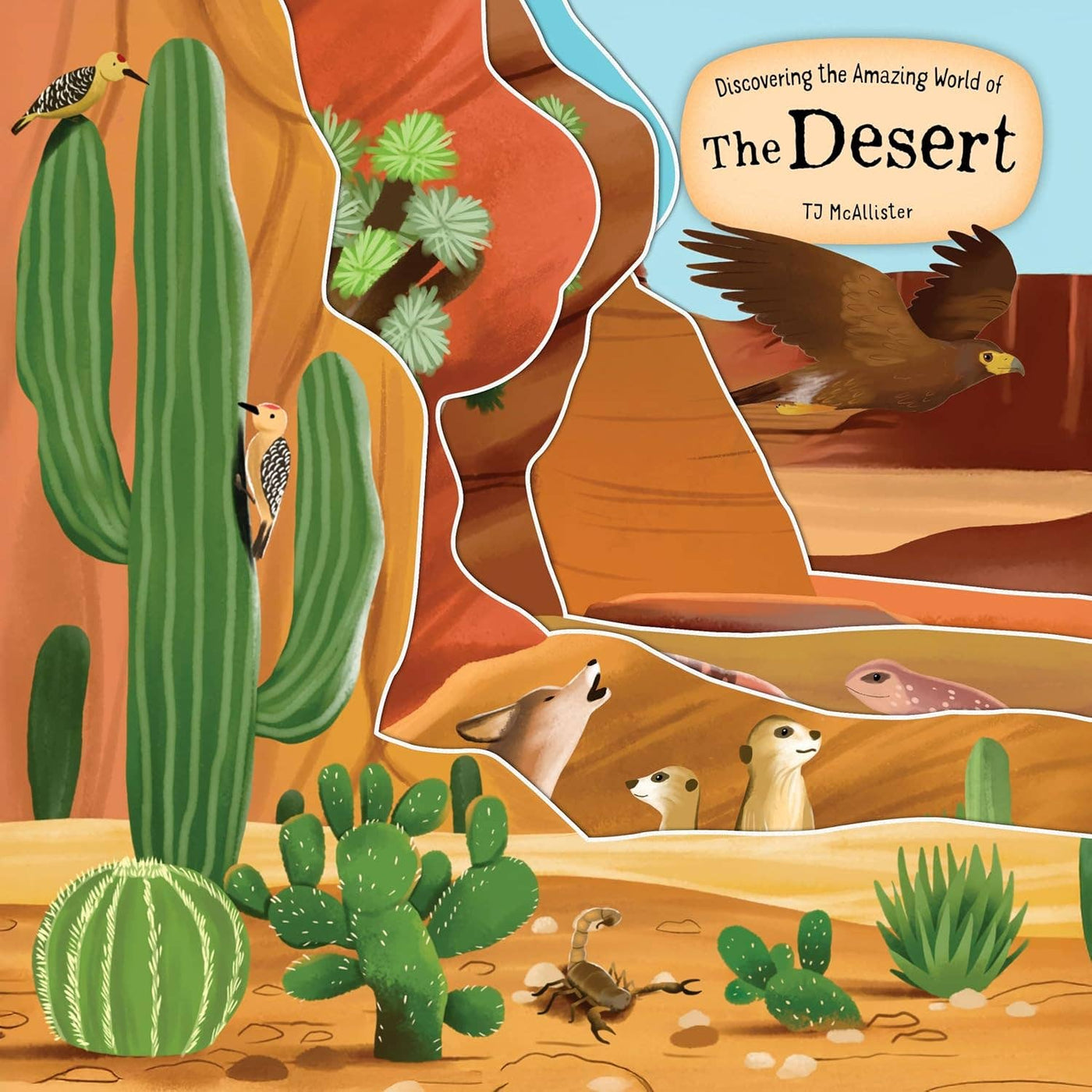 Fox Chapel Publishing - Discovering the Amazing World of the Desert