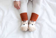 Squirrel Zoo Socks