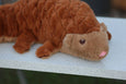 Axol & Friends - Pangolin Plush - 4lbs Weighted