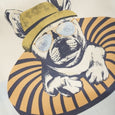 Minymo - Frenchie T-Shirt