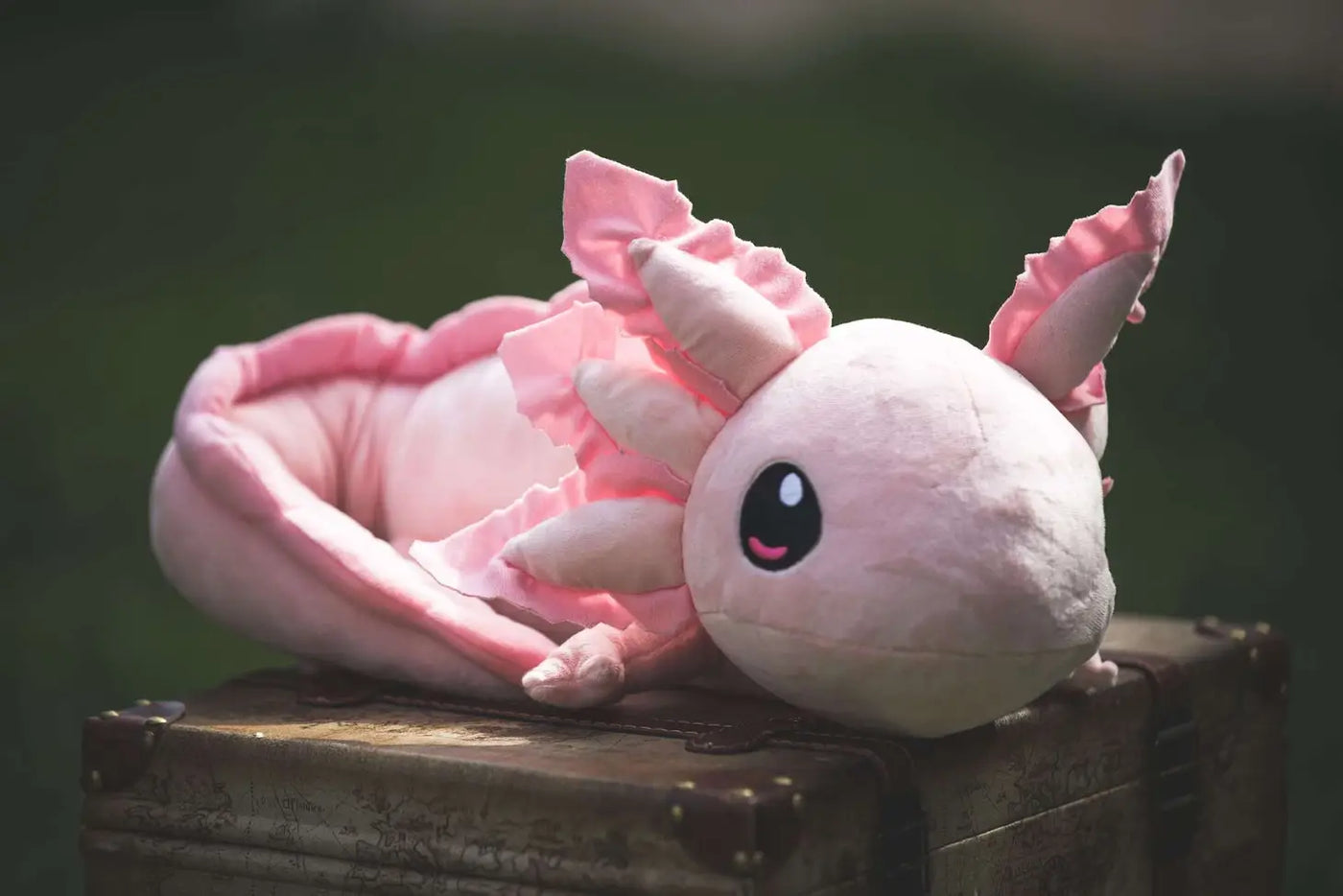 Axol & Friends - Realistic Axolotl Plush