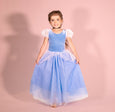 Teresita Orillac - Princess Cinderella Blue Costume Dress - Two Little Birds Boutique