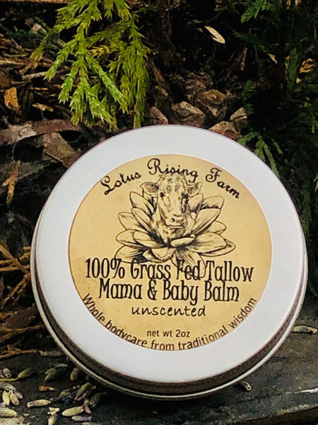 Lotus Rising Farm - 100% Grass Fed Tallow Mama & Baby Balm Unscented 2oz